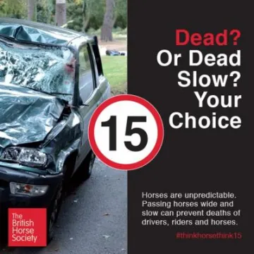 British Horse Society 2