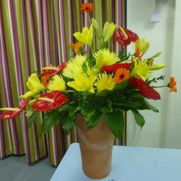 Flower Club Sept 2018 P1030582