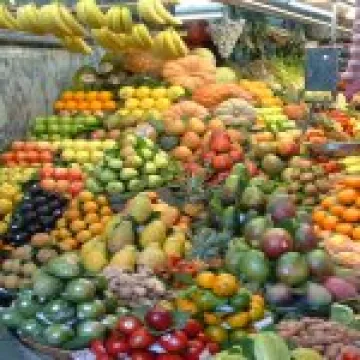 Horticultural Display