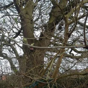 February 20190213_115913_resized