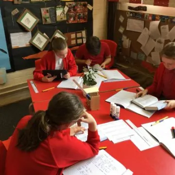 Image: 7E9FD1A8-069D-4ACB-89B1-47C0AD5B81FC