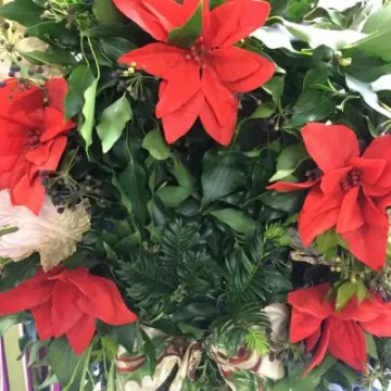 Flower Club May 2019 Image3 (6)