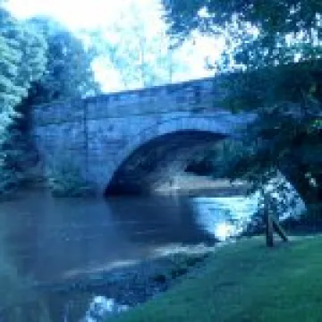 CM Floods 2011 (1)