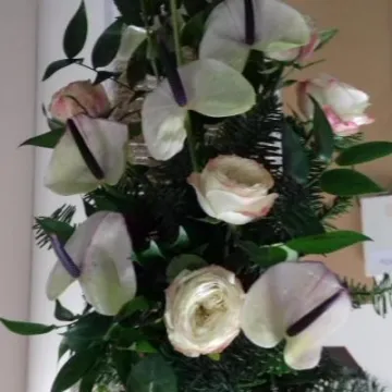 FC Jan 2020 White Flowers 20200108_210751[98334]