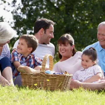 Picnic basket