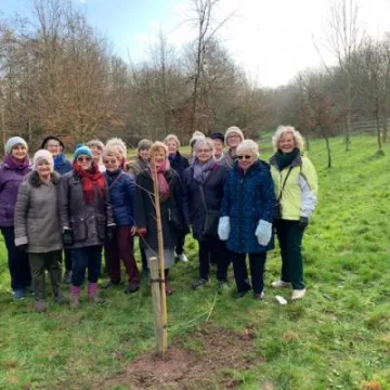 WI Tree Planting Feb 2020 Img_0364