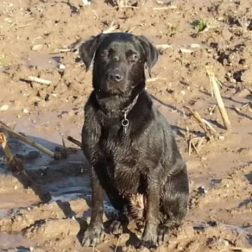 Image: 20200227_092743