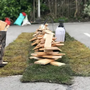Firewalk 2020