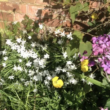 Image: 6D5C10E8-E658-4532-999A-2E8971E19294_1_201_a