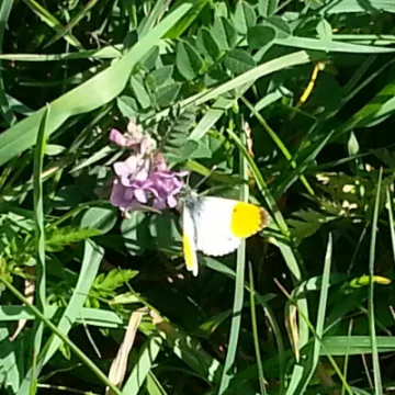 Image: 20200424_095351