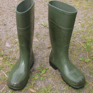 Wellington boots