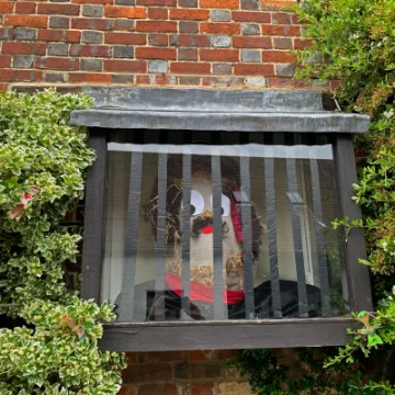 Image: 026 White Lambs Gulliver & the Lilliputians