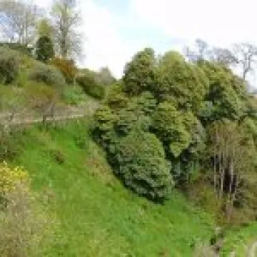 P1010387