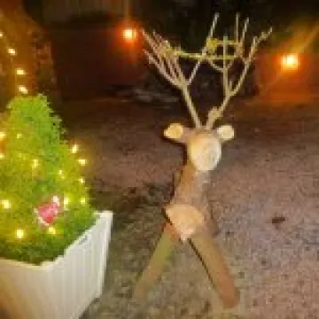 Christmas reindeer