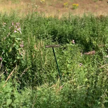 Turnpike Field 3