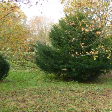 TCW Yews Jim And Ben In 2014 (1)