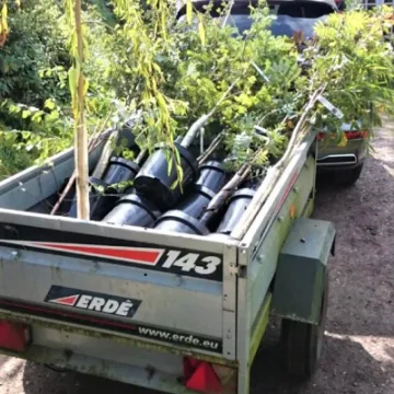 Transporting the trees &ndash; Sept 2020