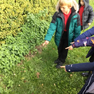 Image: 79B3DE46-4919-4351-89CA-AD1BBA9AD62C