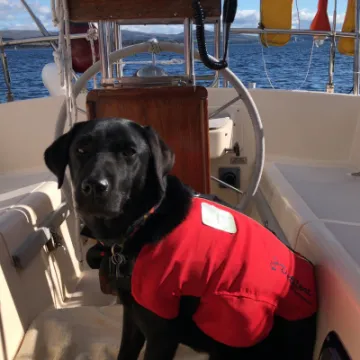 B0D56F7F-7A55-42D1-806C-93B82B5244CD