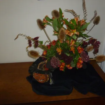 TFC October 2020 P1030918