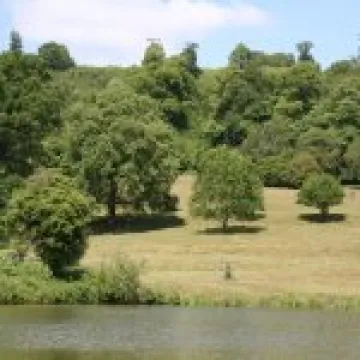 IMG 4794