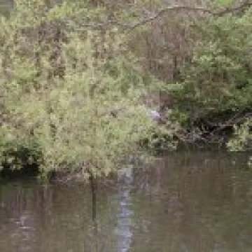 IMG 4096