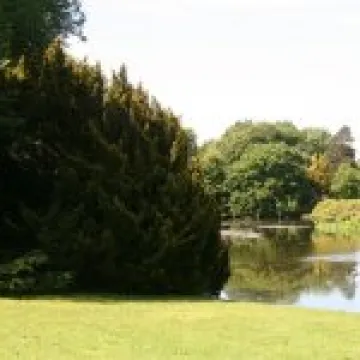 Lyme Park 003