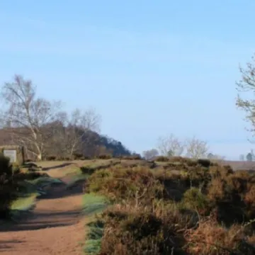 kittys-stone-M480683