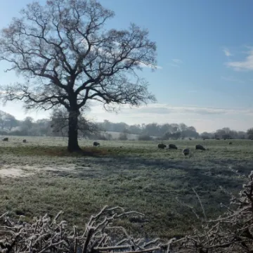 Frosty Audlem 3