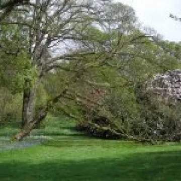 Holker Hall Visit 031