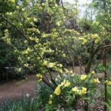 20060509 0029