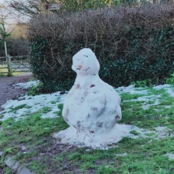 TOL  Snowman 21st Jan IMG20210121154034[290043]