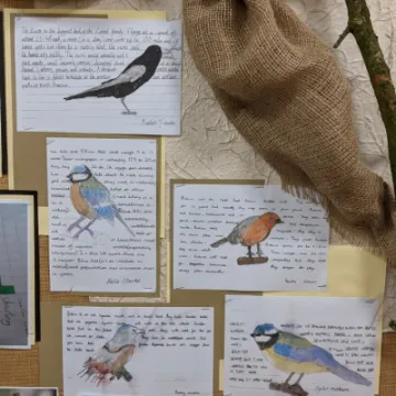 thumbnail_PXL_20210204_171013760