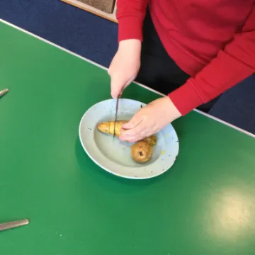 A5D85DD9-7DB3-4D9E-B5B6-96D7EAAED841