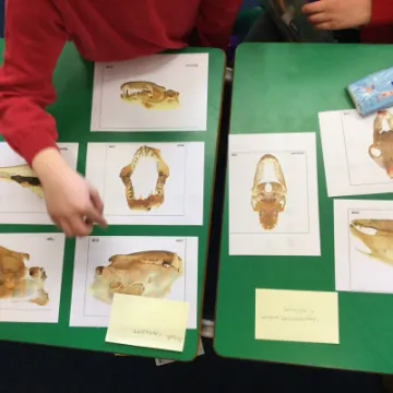 Image: 62D9A8F0-A3FA-4AEC-B968-253386C92257