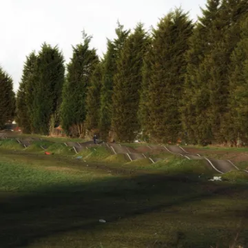 Cannock pump track trees