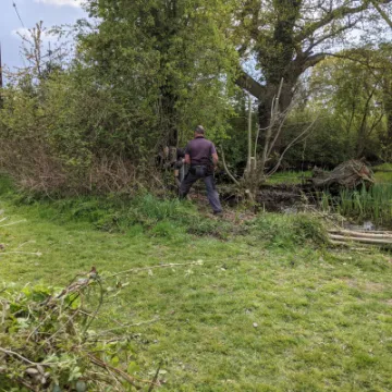 Allotment 3