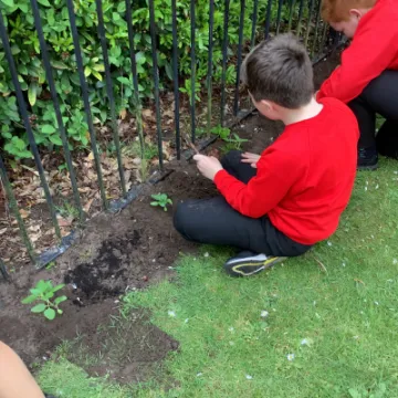 Image: 9563ADD9-6292-4E5F-8C35-B7D0B70A6AF9