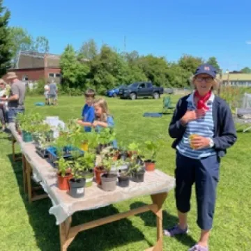 Allotment1
