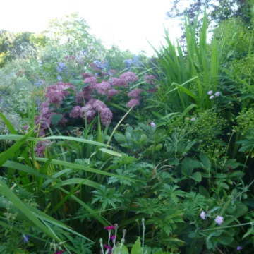 AHFC Ganden July 2021 P1040025[316708]
