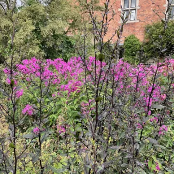 Image: 462A5E7F-8F23-4E9D-BE32-374AD29E7062