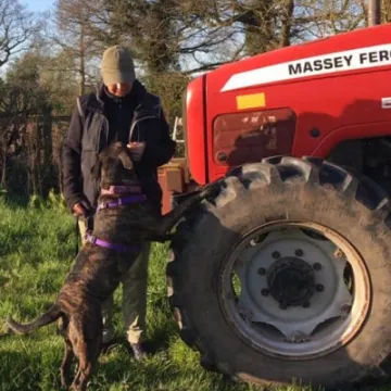 Billy and Roxie tractor 2 feet on