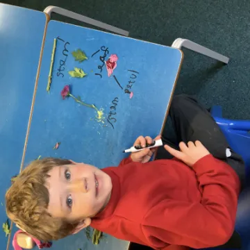 Image: 93EF600D-CA2B-4D70-86C3-E48009147E50