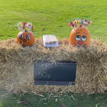 Pumpkin Patch 2021