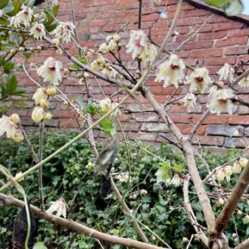 E2266BC9-53CC-4F34-B077-863014ED38D8