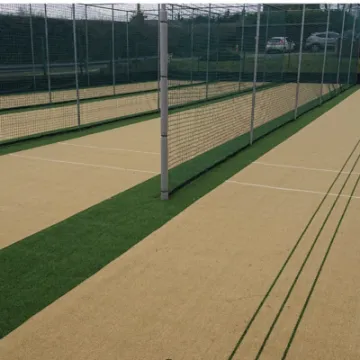 Alvanley Cricket nets