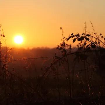 Tarvin Sunset Jan 22 – 1