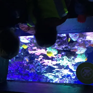 DD41E44E-85EB-4755-97A2-E4B950FAA964