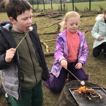 DA24FEA6-BB4B-45F2-8431-8997016AD44A