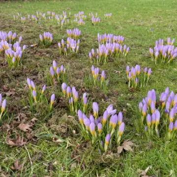 D845241C-3D15-4818-8C54-B43467AC0B85